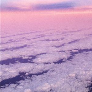 Meet your Posher, Luna